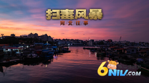 扫毒风暴 第2张图