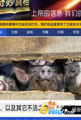 奇妙真相 第1张图